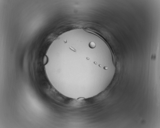 X0000112160429200909041131