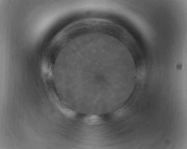 X0000112160431200909041131