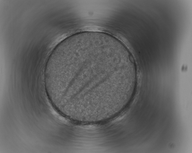 X0000112160433200909041130