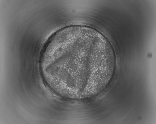 X0000112160434200909041130