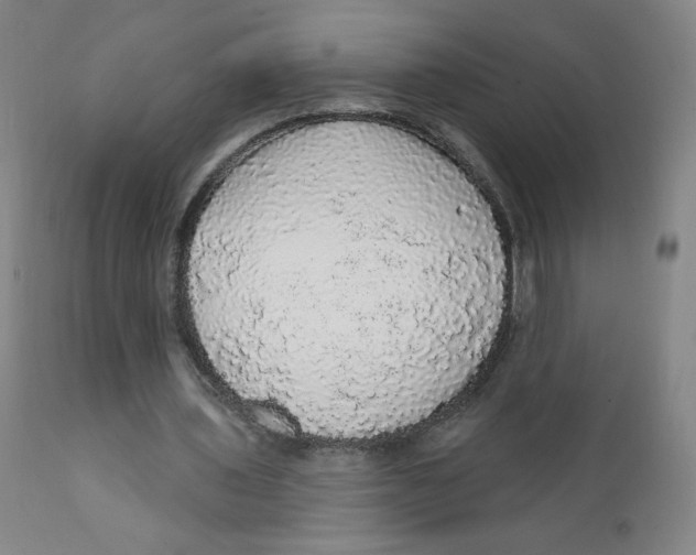 X0000112160435200909041130