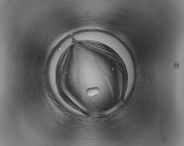 X0000112160436200909041130