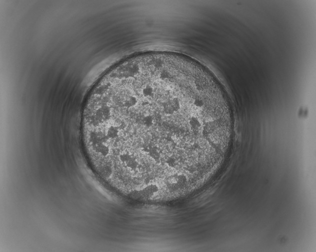 X0000112160437200909041130