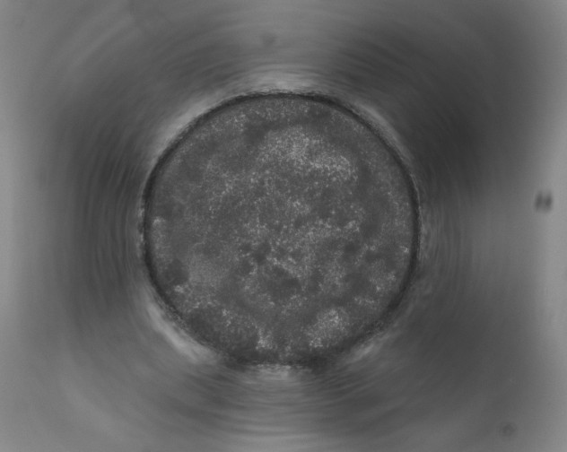 X0000112160439200909041130