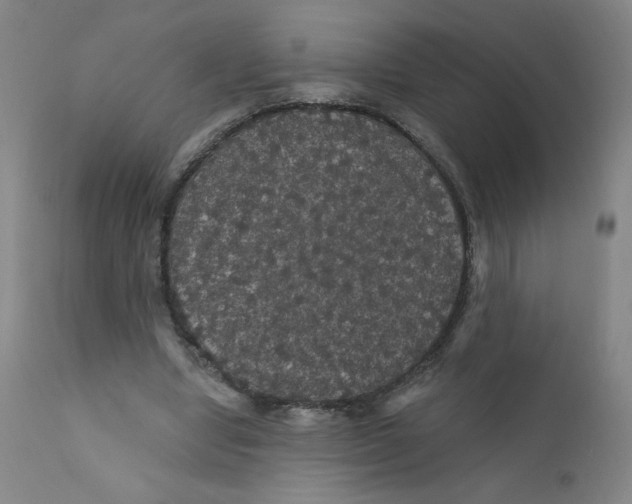 X0000112160442200909041130