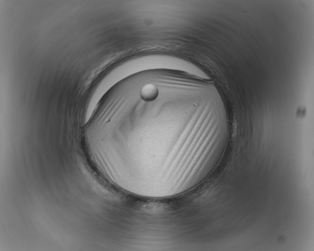 X0000112160444200909041130