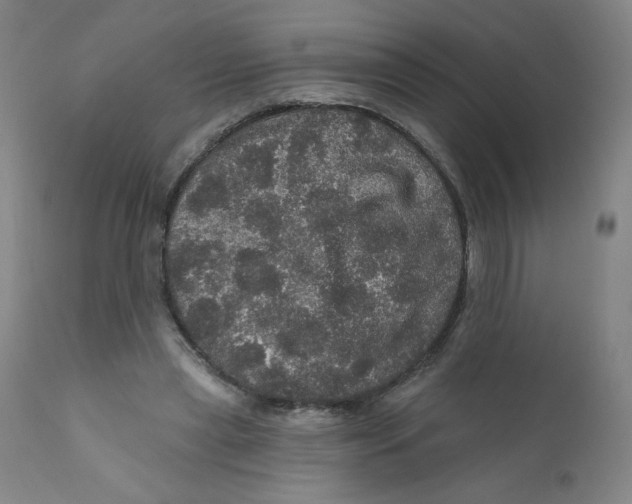 X0000112160445200909041130