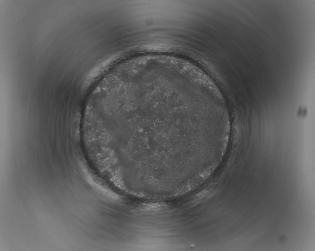 X0000112160446200909041130