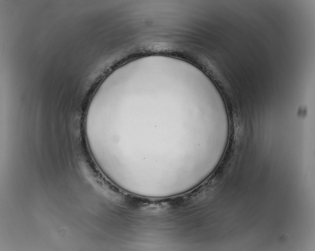 X0000112160447200909041130