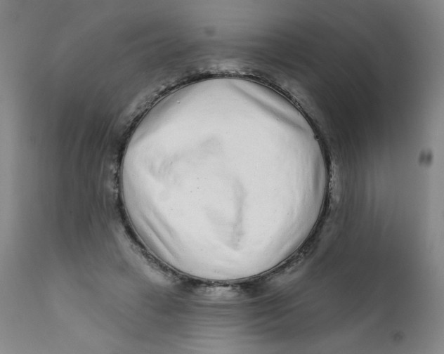 X0000112160449200909041130