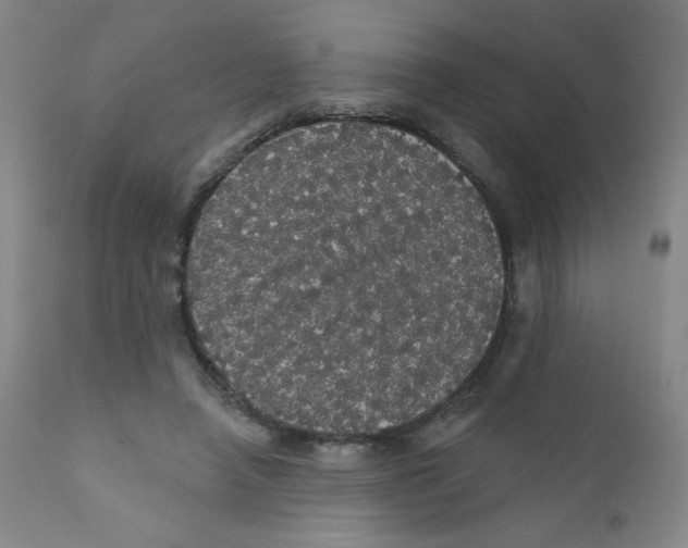 X0000112160450200909041130