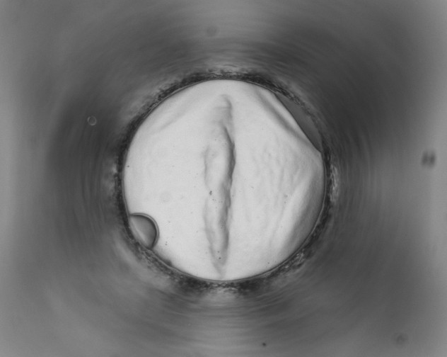 X0000112160451200909041130