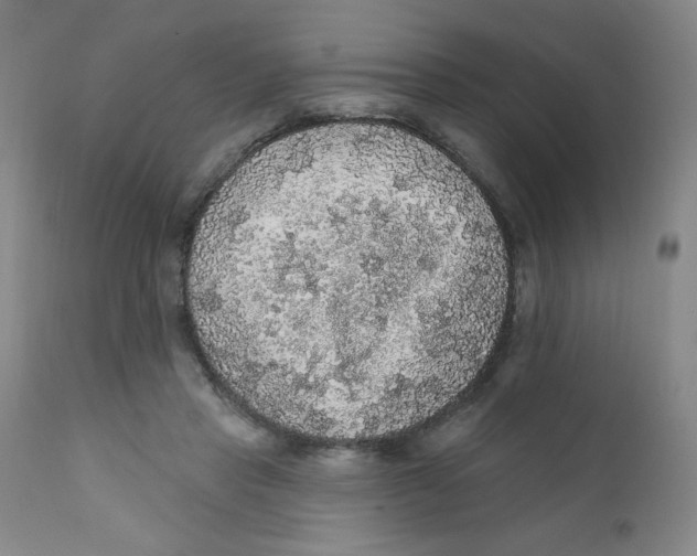 X0000112160453200909041131