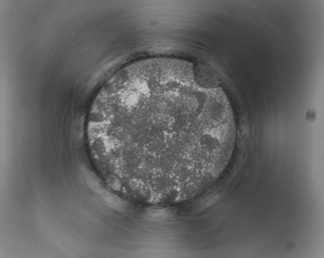 X0000112160454200909041131