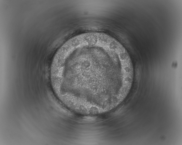 X0000112160457200909041131