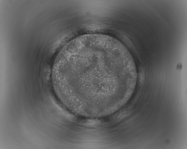 X0000112160458200909041131
