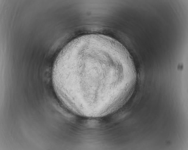 X0000112160462200909041131