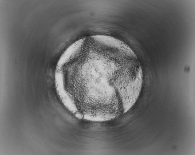 X0000112160465200909041131