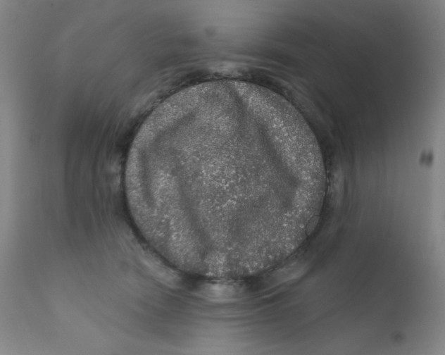 X0000112160466200909041131
