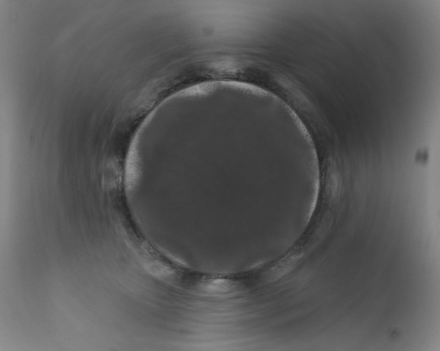 X0000112160467200909041131