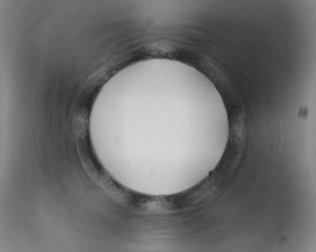 X0000112160468200909041131