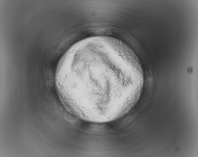 X0000112160469200909041131