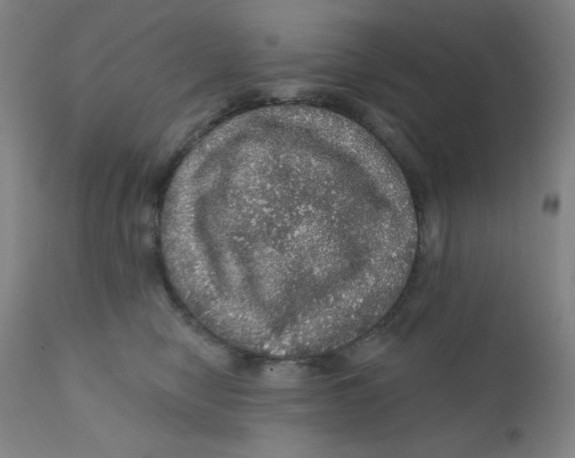 X0000112160470200909041131