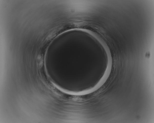 X0000112160471200909041131