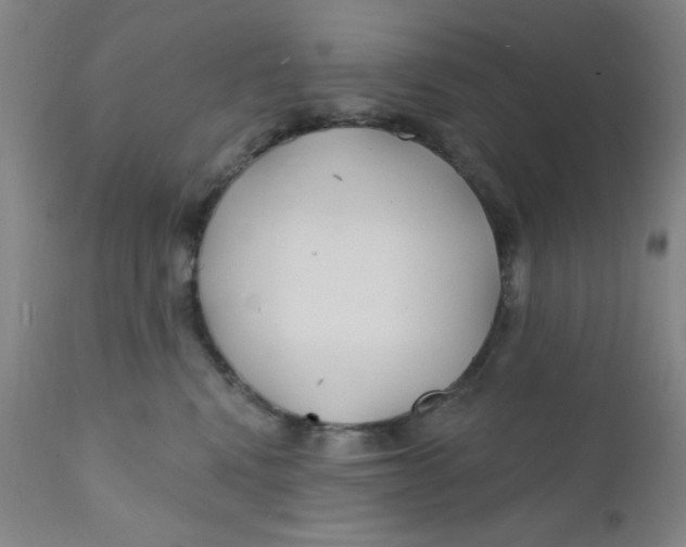 X0000112160472200909041131