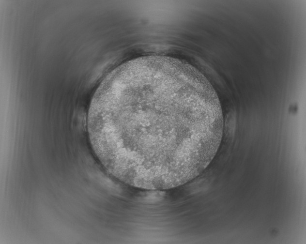 X0000112160474200909041131