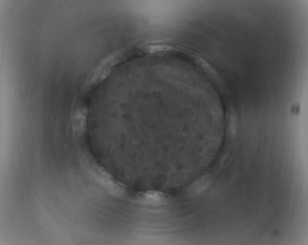 X0000112160475200909041131