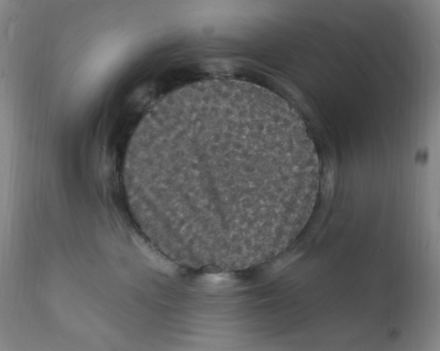 X0000112160477200909041131