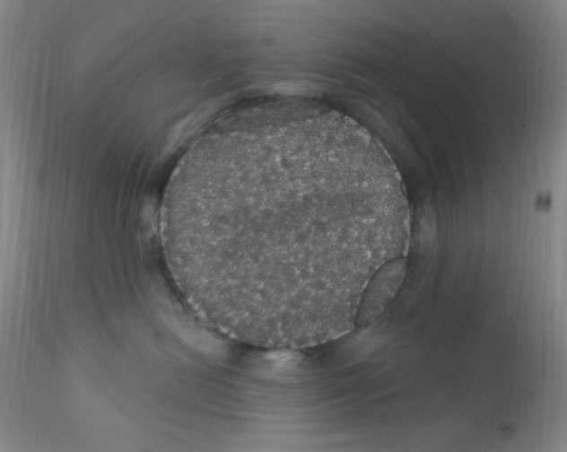 X0000112160478200909041131