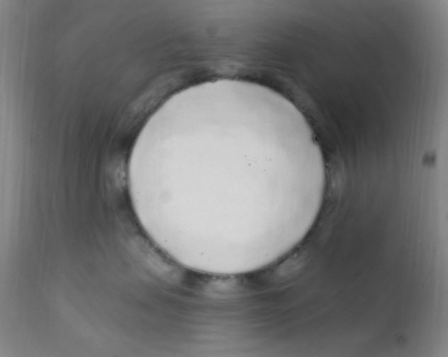 X0000112160479200909041131