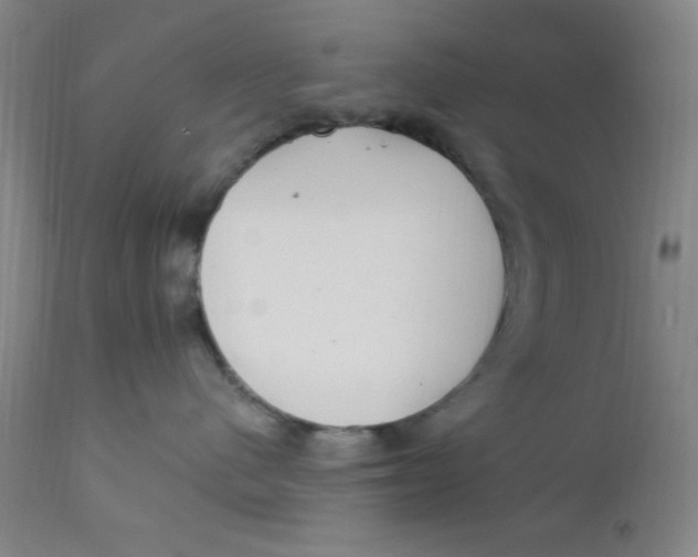 X0000112160480200909041131