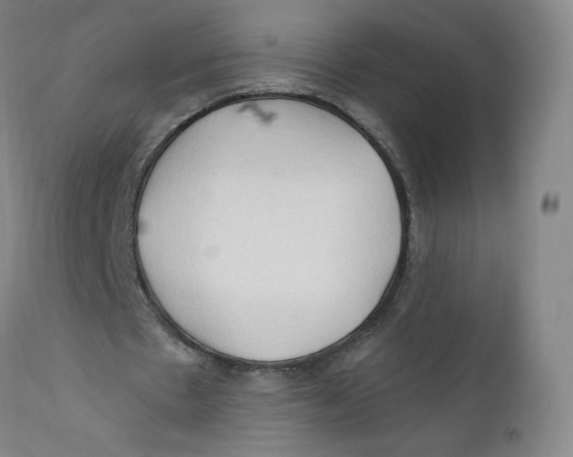 X0000112160481200909041130