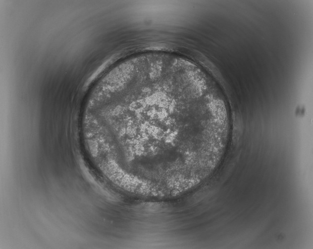 X0000112160482200909041130