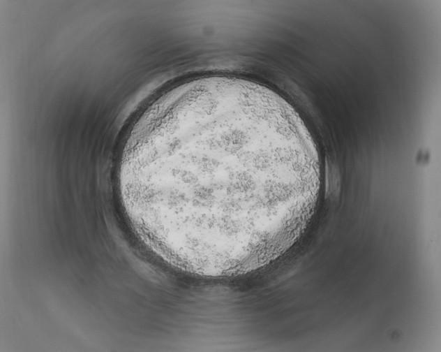 X0000112160483200909041130
