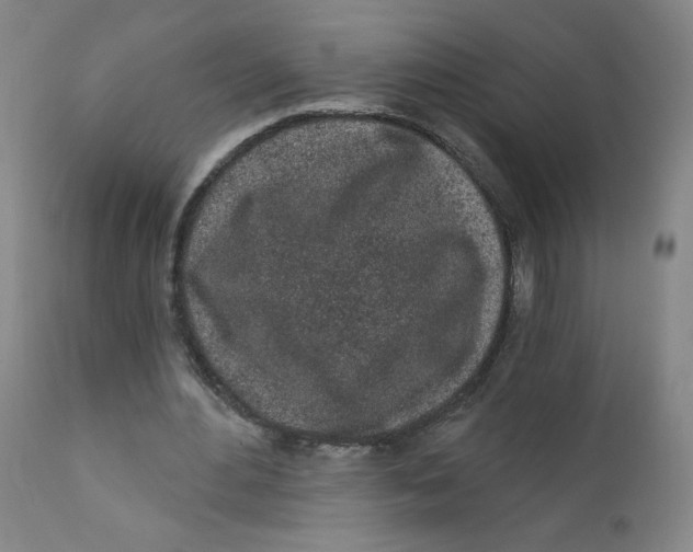 X0000112160484200909041130