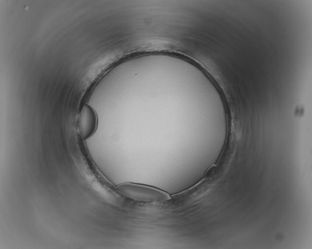 X0000112160485200909041130