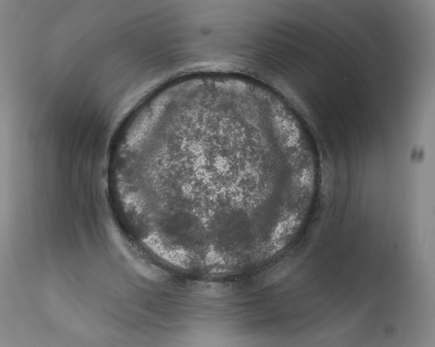 X0000112160486200909041130