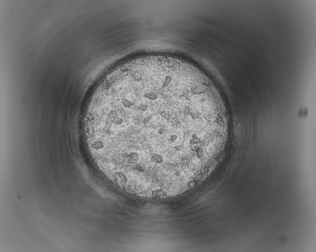 X0000112160487200909041130