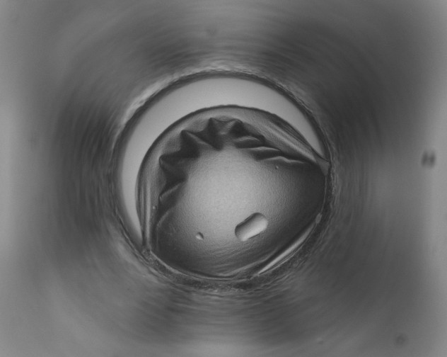 X0000112160488200909041130