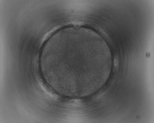 X0000112160492200909041130