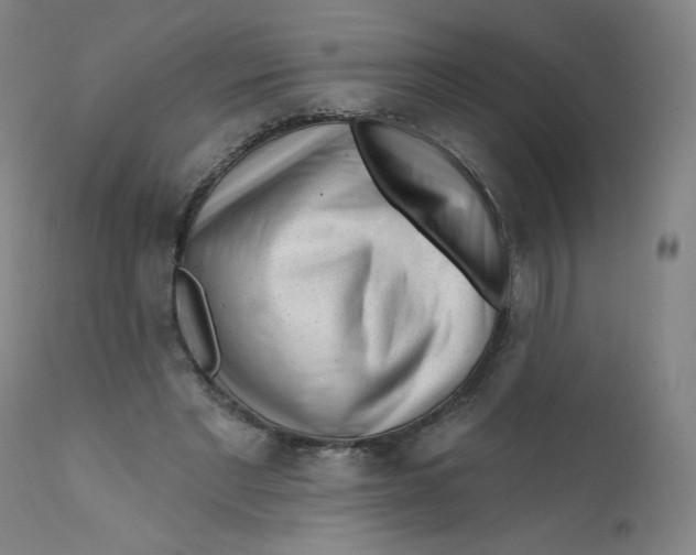 X0000112160493200909041130