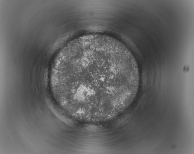 X0000112160494200909041130