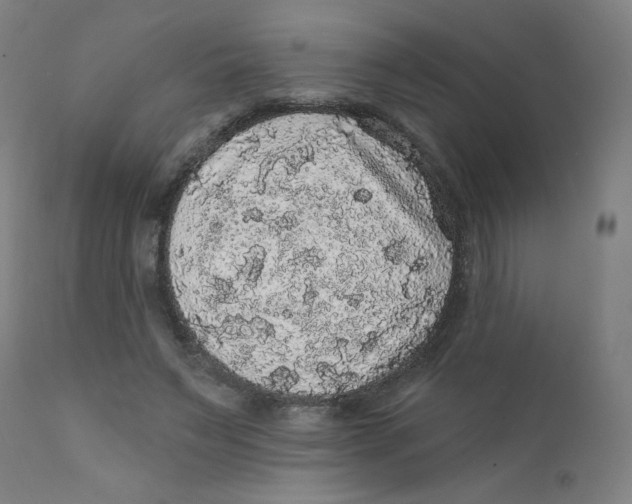 X0000112160495200909041130