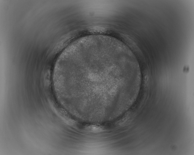 X0000112160498200909041130
