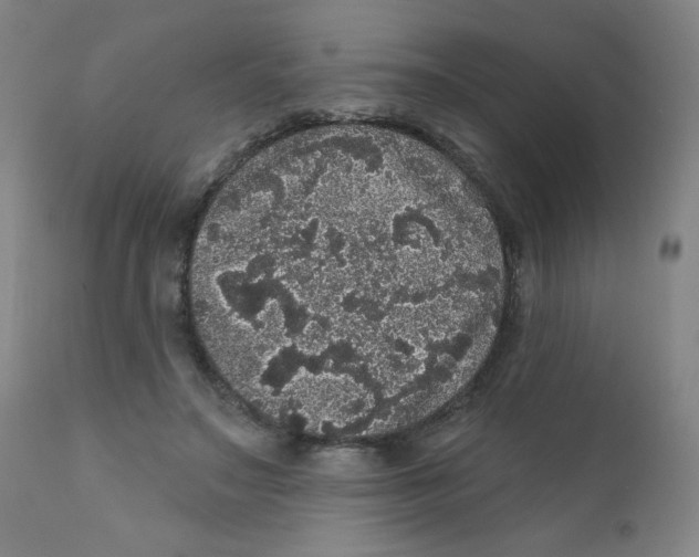 X0000112160499200909041130