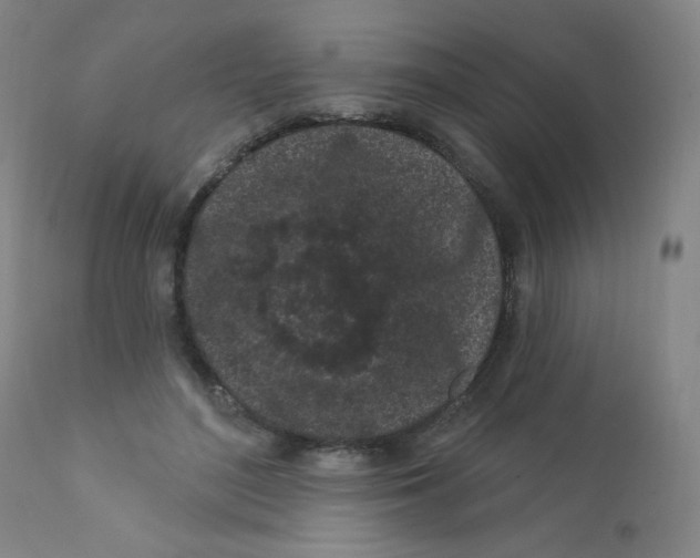 X0000112160500200909041130